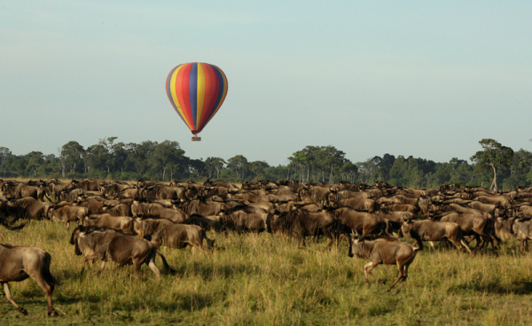 A Hot Air Balloon Floating over the Masai Mara. - Balloon Safaris