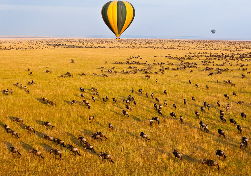 Balloon safari overlooking wild beast migration
